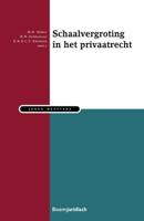 Schaalvergroting in het Privaatrecht (Paperback)