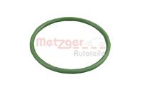 Metzger Laadlucht-/turboslang 2400751