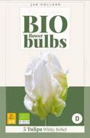 Bio Tulp white rebel 5 bollen