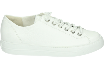 Paul Green 4081 - alle