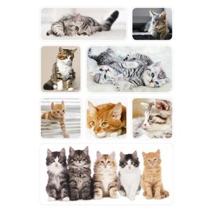 Katten/poezen thema stickers - 24x stuks - kinderstickers - stickervellen - decoratie artikelen