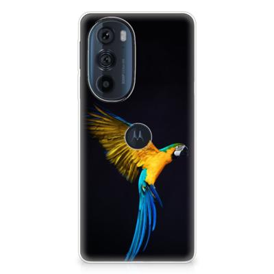Motorola Edge 30 Pro | TPU Hoesje | Papegaai