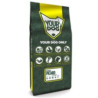 Yourdog �pagneul picard volwassen - thumbnail