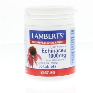 Echinacea 1000mg met zink en vitamine C