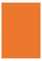 Kangaro K-0043F055 Papier A4 120gr Pak A 100 Vel Oranje