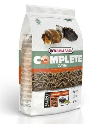 Versele-laga cavia