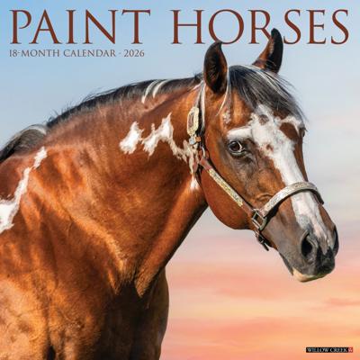 Paint Horses Kalender 2026
