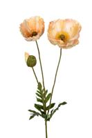 Papaver l76cm zalm kunstbloem Louis Maes - Louis maes