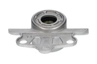 Veerpoot SSM10012