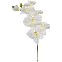 Kunstbloem Orchidee - 80 cm - wit - losse tak - kunst zijdebloem - Phalaenopsis - thumbnail