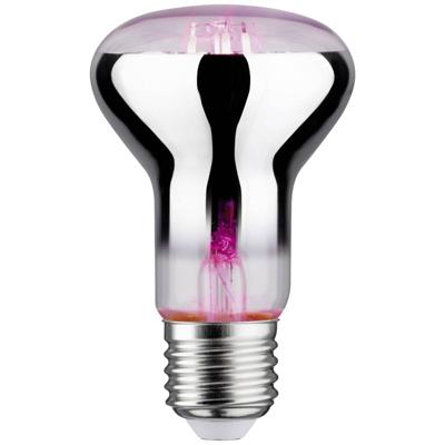 Paulmann LED-plantenlamp groei 230 V E27 6.5 W Barnsteen 1 stuk(s)