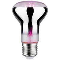 Paulmann LED-plantenlamp groei 230 V E27 6.5 W Barnsteen 1 stuk(s)