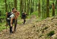 Natuurbeleving in de Ardennen Natuurbeleving in de Ardennen