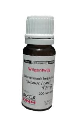 Wilgentwijg