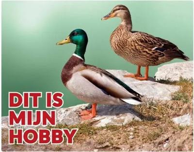 Wilde Eend Waakbord - Dit is mijn Hobby