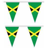 2x Jamaica slinger met puntvlaggetjes 5 meter   - - thumbnail
