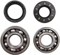 ALL BALLS Racing krukas lagerset