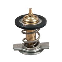 Thermostaat, koelvloeistof TH50392G1