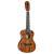 Ortega RUET-ACA Elite Series Concert Size Ukulele Acacia elektrisch-akoestische concert ukelele met gigbag