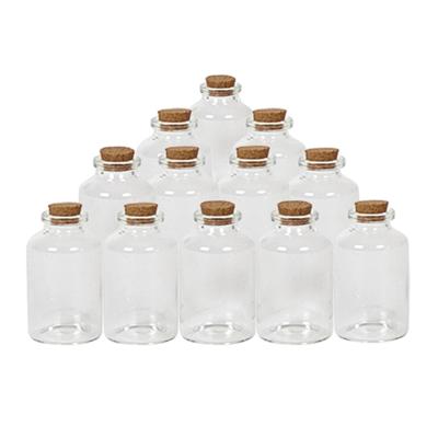 Kleine Flesjes - 24x - glas - kurken dop - 30 ml - uitdeelflesjes