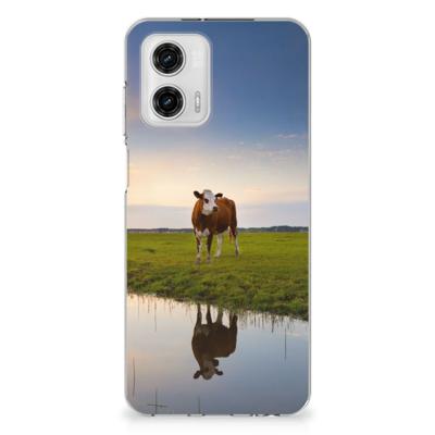 Motorola Moto G73 | TPU Hoesje | Koe Motorola Moto G73 | TPU Hoesje | Koe