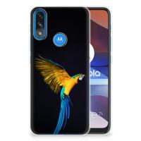 Motorola Moto E7/E7i Power | TPU Hoesje | Papegaai