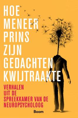 Hoe meneer Prins zijn gedachten kwijtraakte (Paperback)