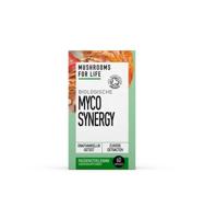 Myco synergy bio