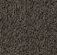 Coral Brush 5714 shark grey 205 cm breed