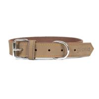 Hondenhalsband Gloria Oasis Beige (1,2 x 35 cm) - thumbnail