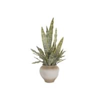 Decoratieve plant Home ESPRIT Polyethyleen