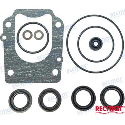 REPUESTOS MOTORES - Suzuki REC25700-87L00 - KIT RETENES