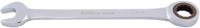 Bikeservice ratelsleutel ringrtschmaulschl bst 13mm straight long
