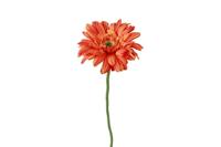 Decostar zijdebloem Gerbera Leanne 60 cm oranje