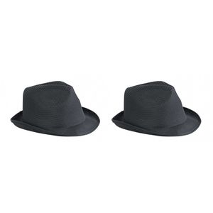 2x stuks trilby feesthoedje zwart voor volwassenen