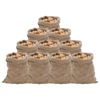 Jutezakken 10 stuks 220 g/m² 60x105 cm 100% jute