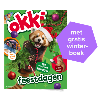 Okki | Basis abonnement