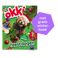 Okki | Basis abonnement