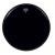 Remo ES-1022-00 Ambassador Ebony 22 inch