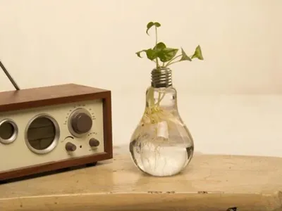 Gloeilamp Vaas (Set van 6) Gloeilamp Vaas (Set van 6)