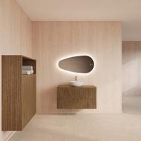 Badmeubelset BWS Hybris Castle Brown 100 cm Met Waskom