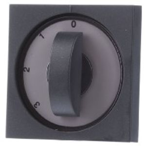 066928  - Cover plate for level switch anthracite 066928