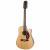 Fender Classic Design CD-140SCE-12 Natural 12-snarige elektrisch-akoestische westerngitaar met koffer