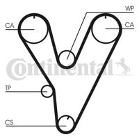 Getande riem CONTINENTAL CTAM, u.a. für Mitsubishi, Chrysler, Hyundai