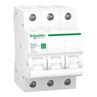 Schneider Electric R9F28310 Zekeringautomaat