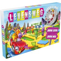 Levensweg Bordspel