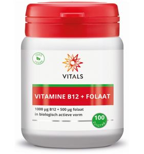 Vitamine B12 1000 mcg folaat 500 mcg