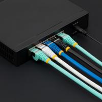 Stevige UTP-netwerkkabel Cat6 Startech NLBL-50C-CAT6A-PATCH