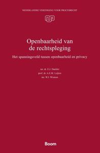 Openbaarheid van de rechtspleging (Paperback)