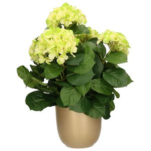 Hortensia kunstplant/kunstbloemen 45 cm - groen - in pot goud